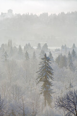Winter time landscape. Fraser river view in British Columbia, Canada
