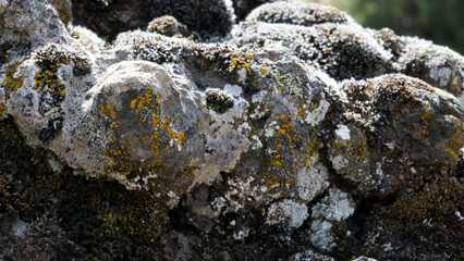 Kula Salihli Unesco Global Geopark. 
Black volcanic stones