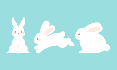 うさぎ　セット