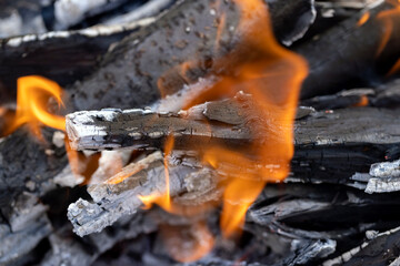 Burning logs and boards in the fire