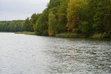 Herbstliche Waldlandschaft am Ufer des Berliner Sees Krumme Lanke