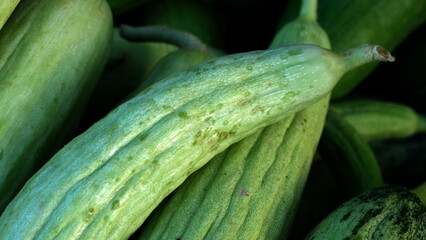 Armenian cucumbers waiting to be sold