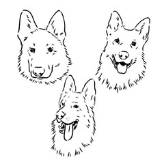 Decorative portrait in profile of dog German shepherd, vector isolated illustration in black color on white background