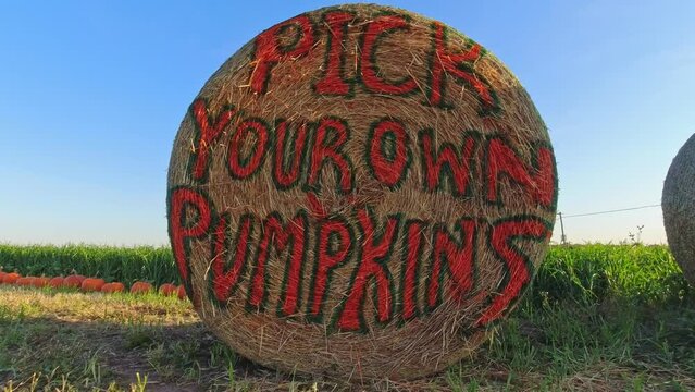 Pick your own pumpkin sign for holiday&rsquo;s harvest. Halloween and Thanksgiving day preparation. October Pumpkin Festival in Canada.