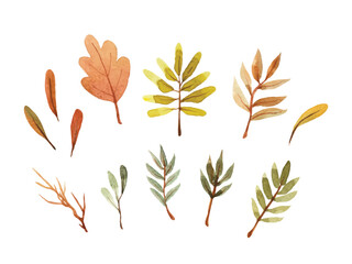 Set of watercolor leaves. Plant set of vector drawings of tree leaves.