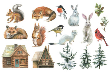 Beautiful New Year's set with wild forest animals fox, squirrel, hare, weasel, branch birds, fir trees in a mug and village houses on a white background © Marina