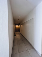 Vertical photo of long house corridor with a wooden door to flats. Indoor concept of a contemporary passage.