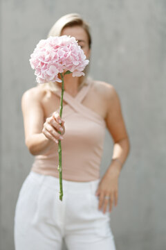 A young woman is holding one pink hydrangea on a gray background