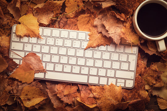 Forest Mobile Office On Vacation Or On A Trip Concept. Keyboard And Coffee Mug On Orange Birch Leaves Leaf Fall. Remote Workplace Freelance