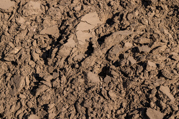 preparation of soil in the field for sowing