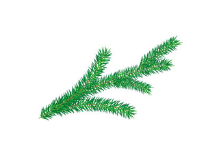 Green fir, pine branch, twig. Isolated png illustration, transparent background. Asset for art brush, stamp, flourish design, Christmas wreath, pattern, cards, montage, collage or mark making.