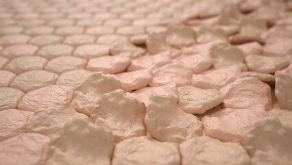 Animation of aging skin cells. Degradation and death of the skin. The appearance of wrinkles. Poor ecology and the impact on the aging process. The sphere of beauty. 3d hexagonal particles.