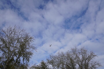 white helicopter in the sky with white bows
