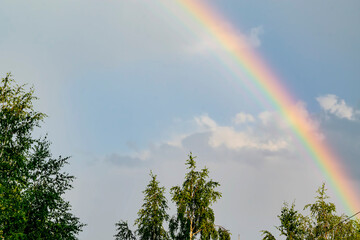 A rainbow in the gray sky after the rain. Atmospheric phenomenon after a storm. A beautiful landscape with a real rainbow and treetops after a rain on a summer day.