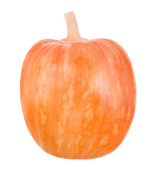 Orange pumpkin isolated on transparent background with shadow.