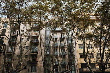 trees covering the townhouses - green city