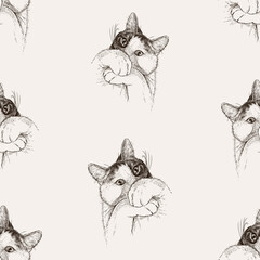 Seamless background of sketches frightened domestic cat