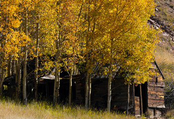 Victor Colorado Autumn