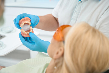 Detail photo of teeth model in doctor hands in dental office