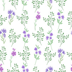 Fototapeta na wymiar Seamless pattern hand drawn blue and violet wild flowers and herbs on white background