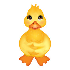 Rustic cute yellow duckling on white background