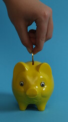 Sparschwein