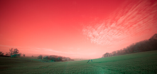 panorama of a green summer field in the early morning with orange there at sunset