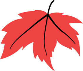 Maple Leaf Flat Illustration Decoratetion