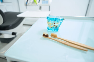 Transparent teeth jaw model and toothbrushes in dental office
