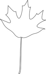 Maple Leaf Outline Drawing Leaves