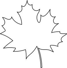 Maple Leaf Outline Drawing Leaves