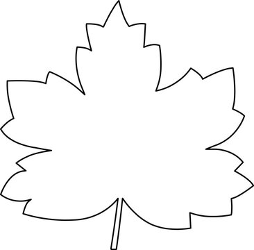 Maple Leaf Outline Drawing Leaves