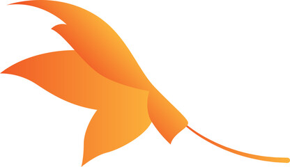 Obraz premium Maple Leaf Isolated Illustration Leaves