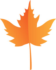 Maple Leaf Isolated Illustration Leaves