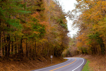 Rural road through the autumn forest