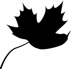Maple Leaf Silhouette Illustration Leaves