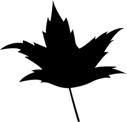 Maple Leaf Silhouette Illustration Leaves