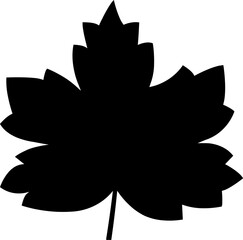 Maple Leaf Silhouette Illustration Leaves