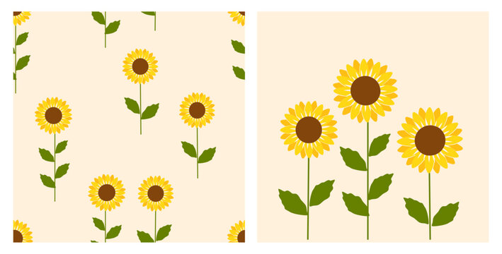 Seamless pattern with sunflower field on yellow background. Set of sunflower with green leaves icon vector illustration.