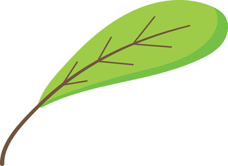 Flat Fall Leaf Leaves Decoration