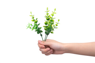 A hand holds plants against a white background