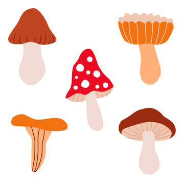 Set doodle mushrooms. Cute childish elements. Design for poster, card, bag and t-shirt, cover. Baby style.