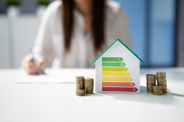 Energy Efficient House House Audit