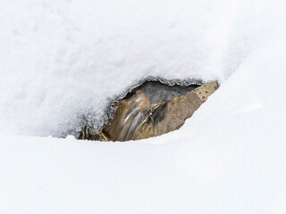 Mountain stream flowing beneath the white frozen snow.