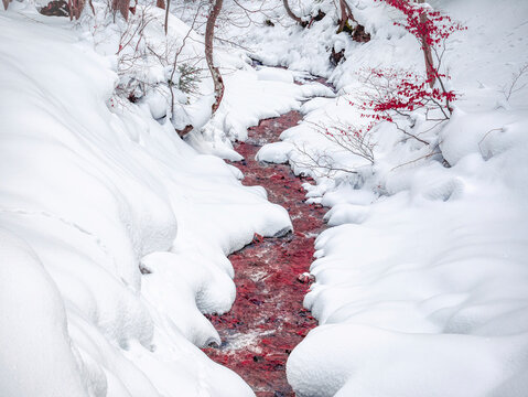 Abstract minimalist picture of a red blood stream flowing beneath the frozen snow