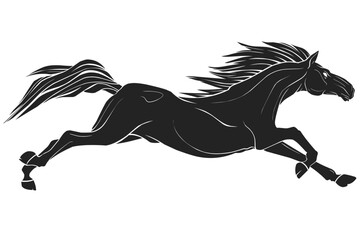 black and white horse