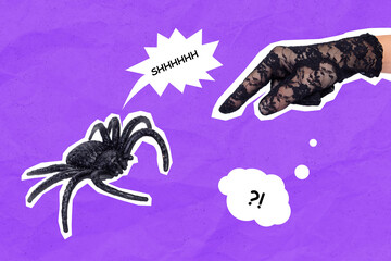 Composite collage illustration of arm glove finger point talking spider isolated on painted purple background