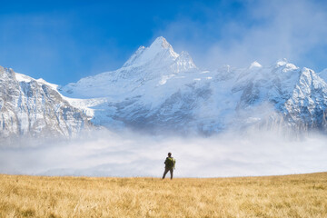 Tourist with a backpack in the mountains. Mountain hiking in the high mountains. Travel and adventure. Active life. Landscape in the summertime. Photo with high resolution.