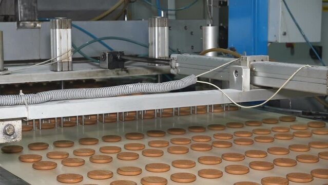 Industrial food factory or bakery, cookies on automated production line or conveyor belt, confectionery plant or bakehouse
