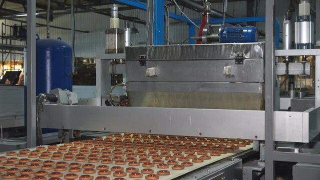 Industrial food factory or bakery, cookies on automated production line or conveyor belt, confectionery plant or bakehouse